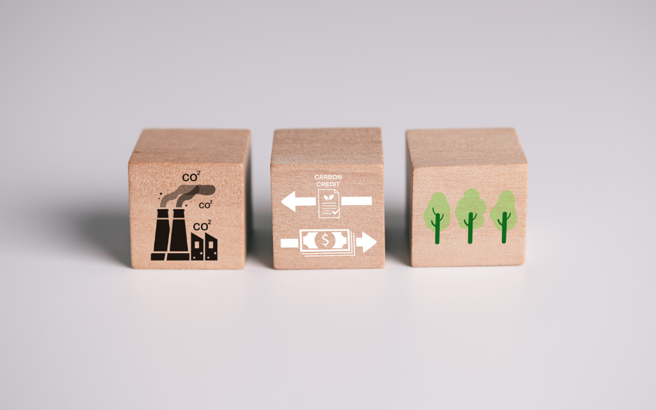 Carbon offsetting Carbon offsetting
