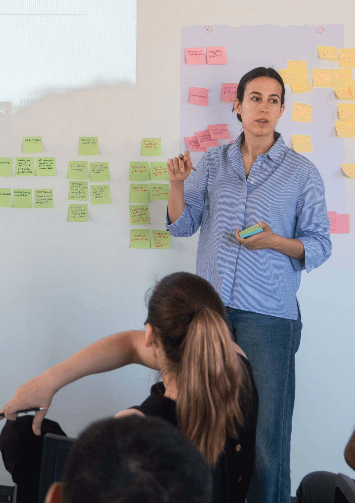 Workshop facilitation