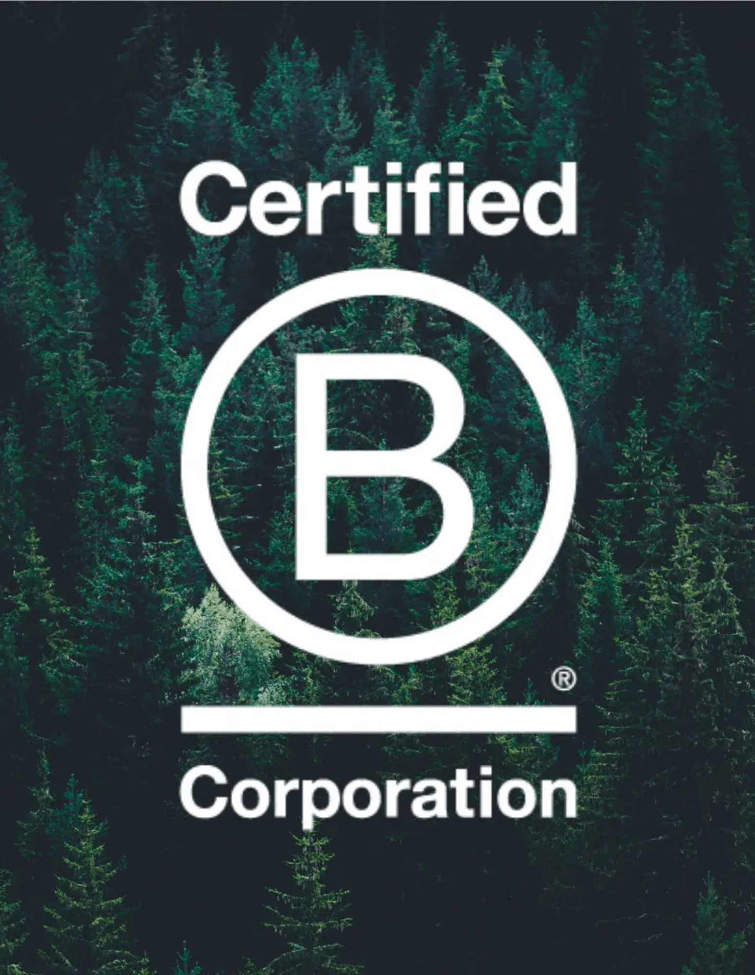 B Corp Certification Support B Corp Certification