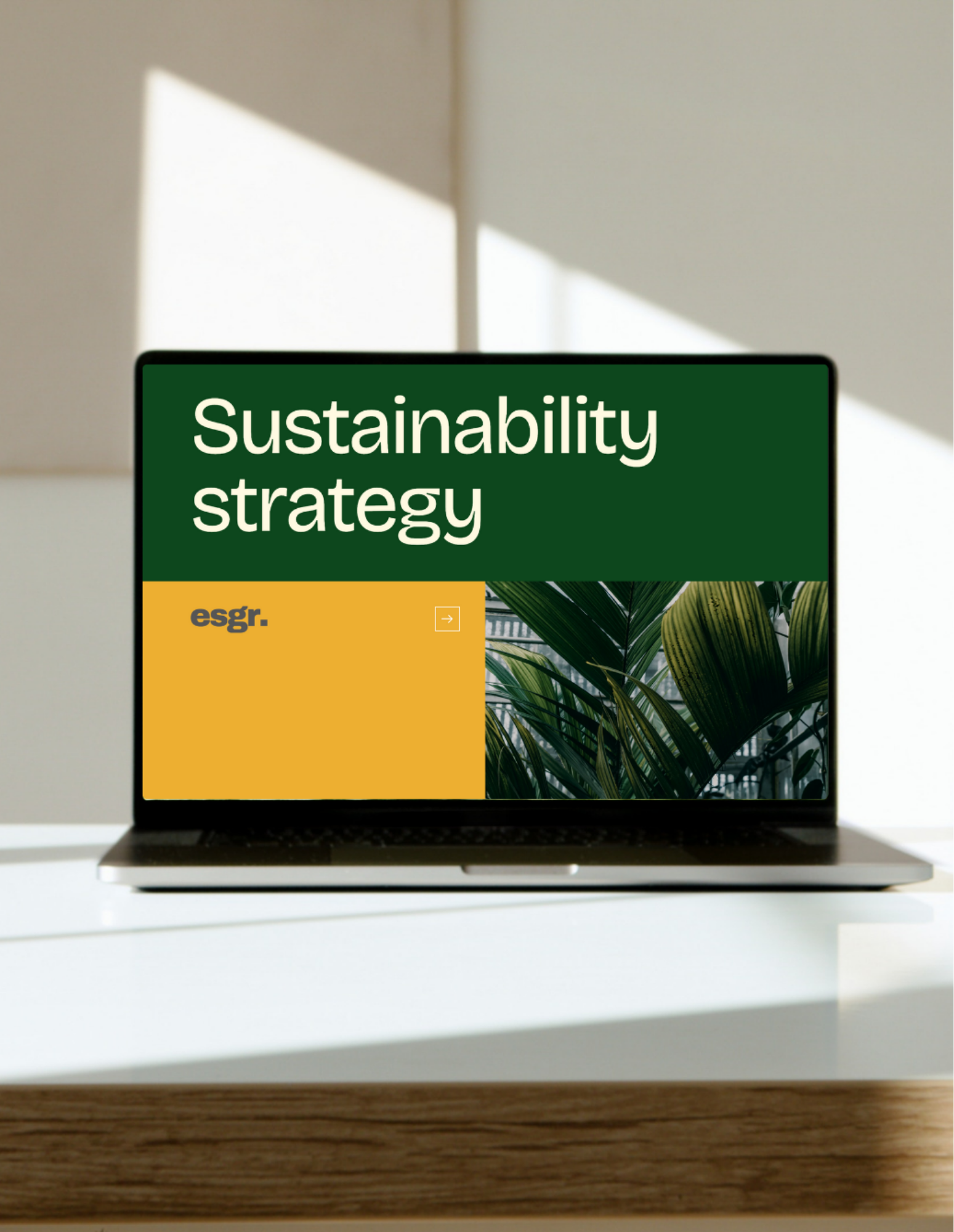 ESG Strategy Development Sustainability Strategy